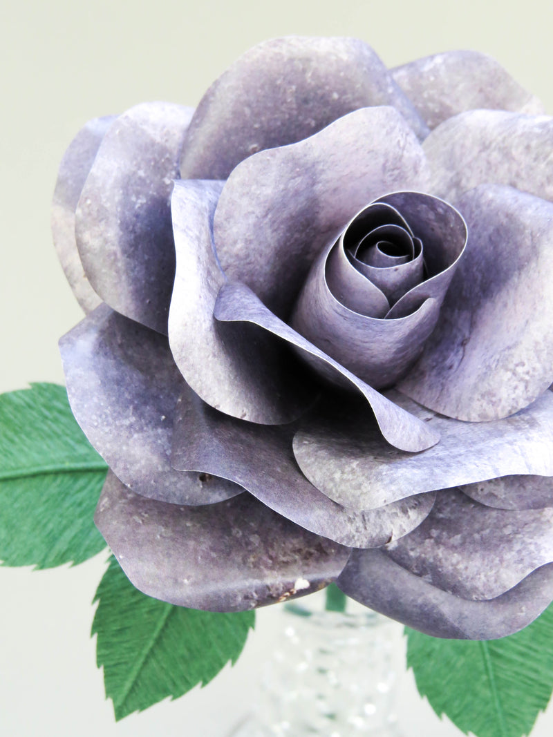 Close up detail of the texture on the petals of a smooth grey iron paper rose