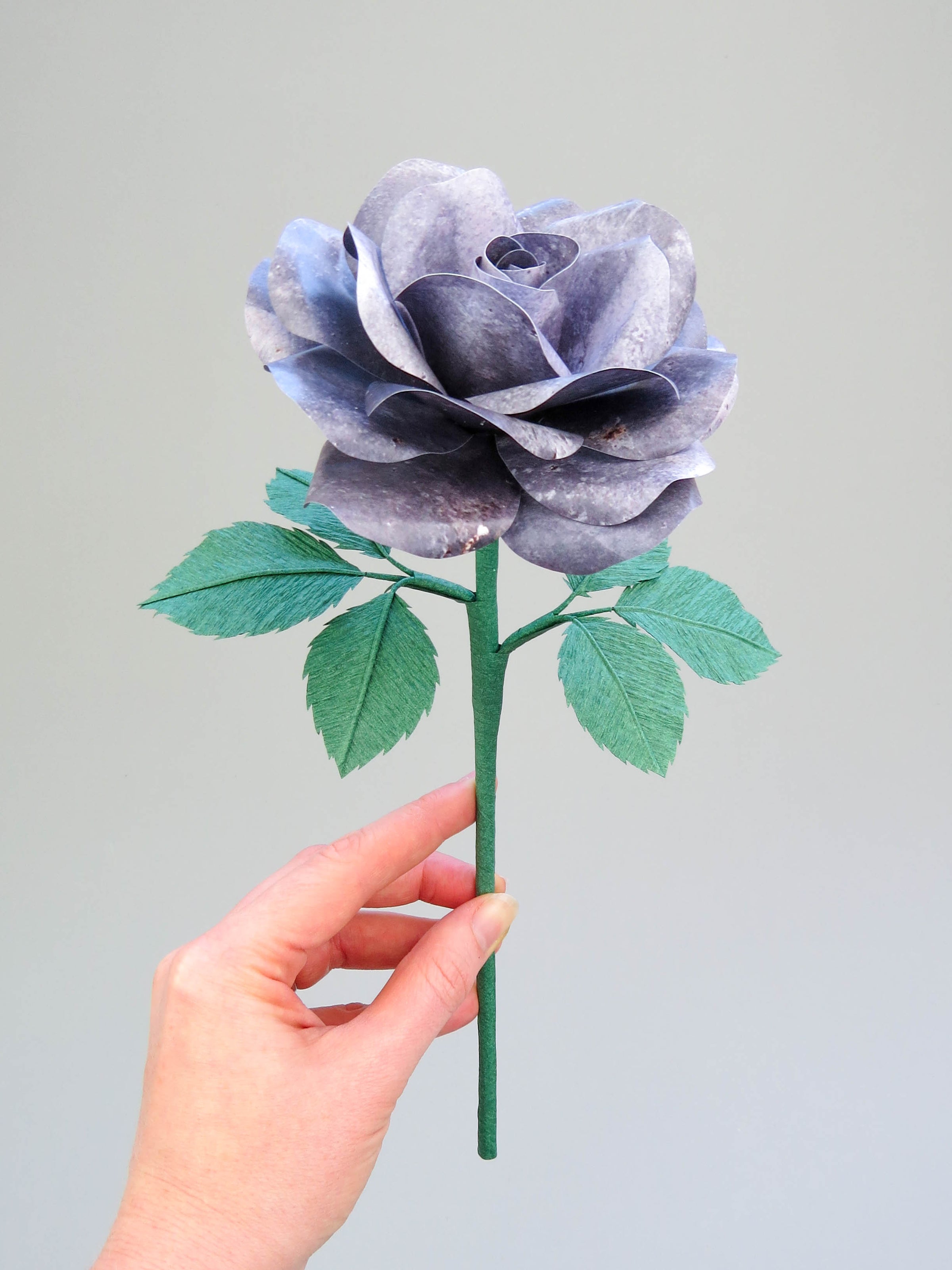 Pale white hand delicately holding the stem of a grey iron paper rose with six forest green leaves