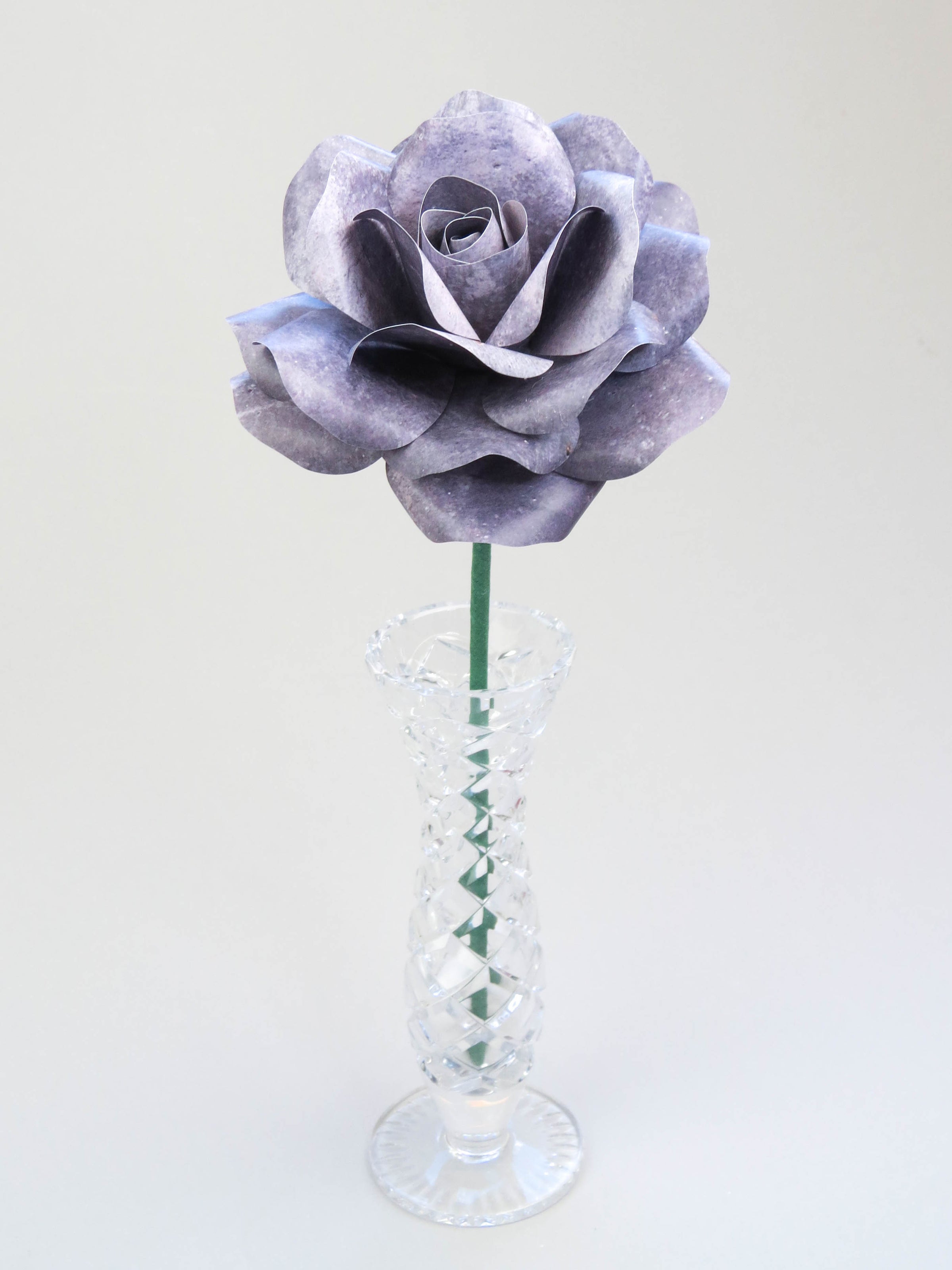 Leafless grey iron paper rose standing in a slender glass vase