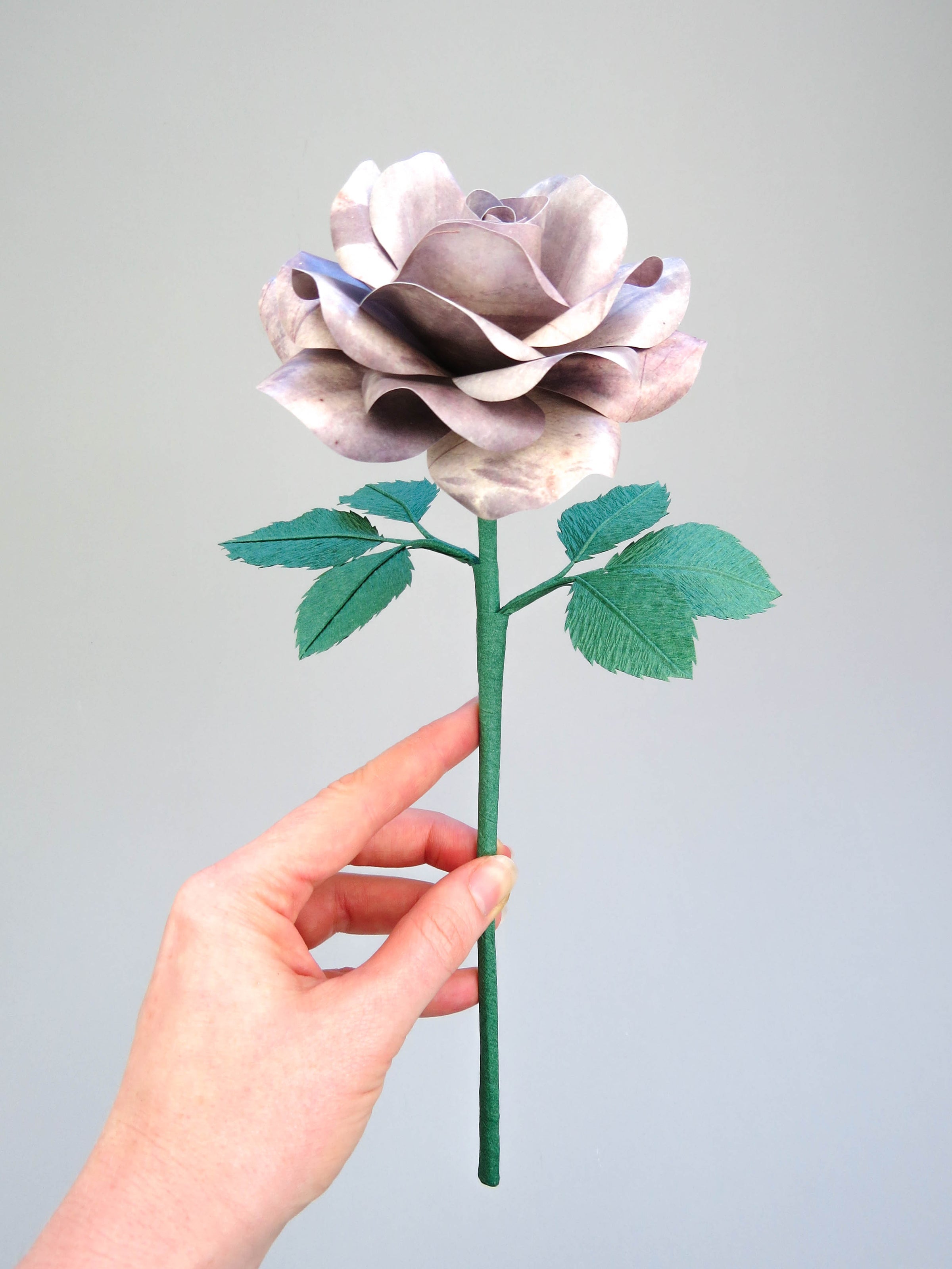 Pale white hand delicately holding the stem of a grey tin paper rose with six forest green leaves