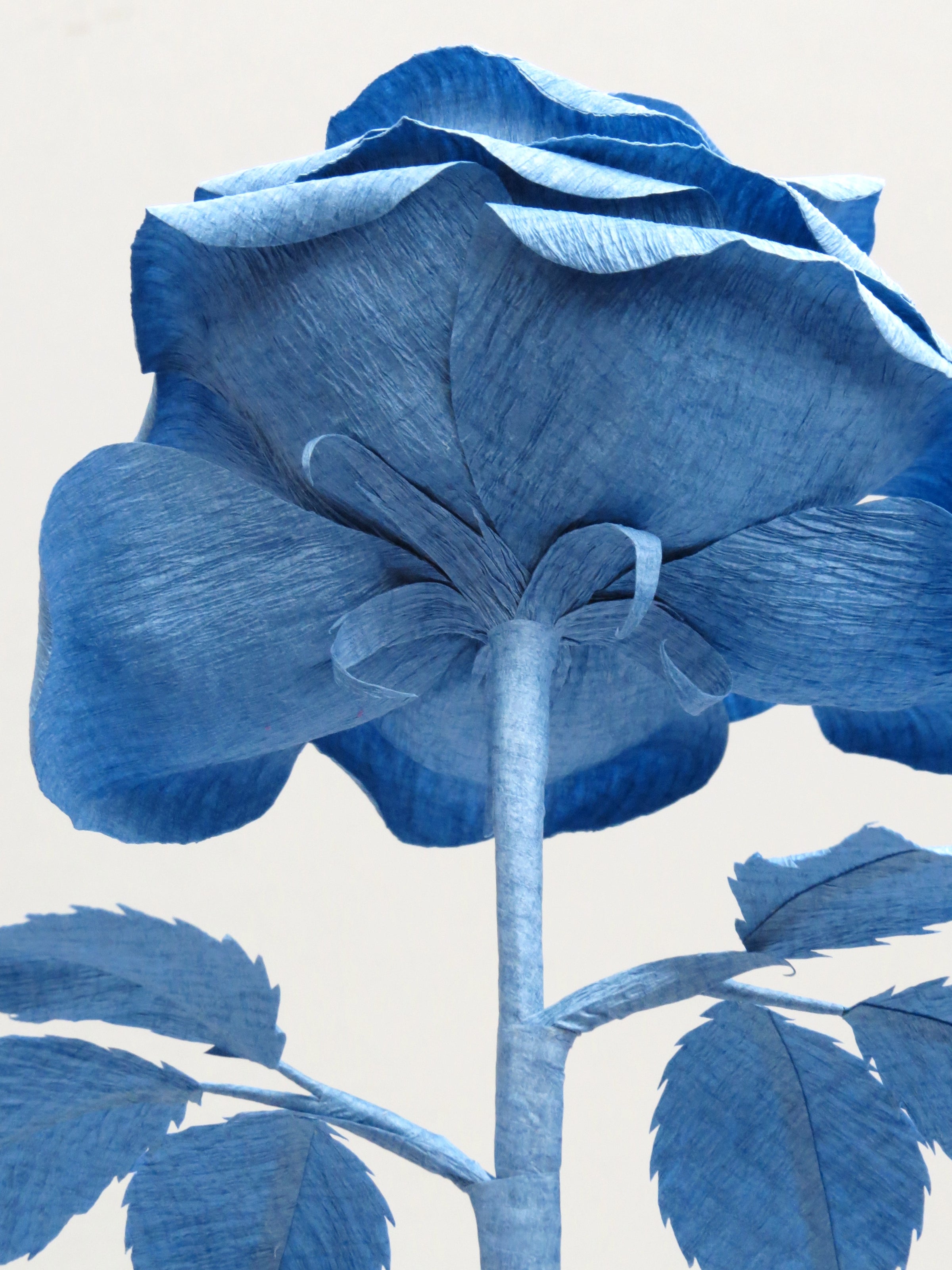 The underneath of the china blue crepe paper rose showing the matching china blue calyx with the china blue stem and the back of the six china blue crepe paper leaves