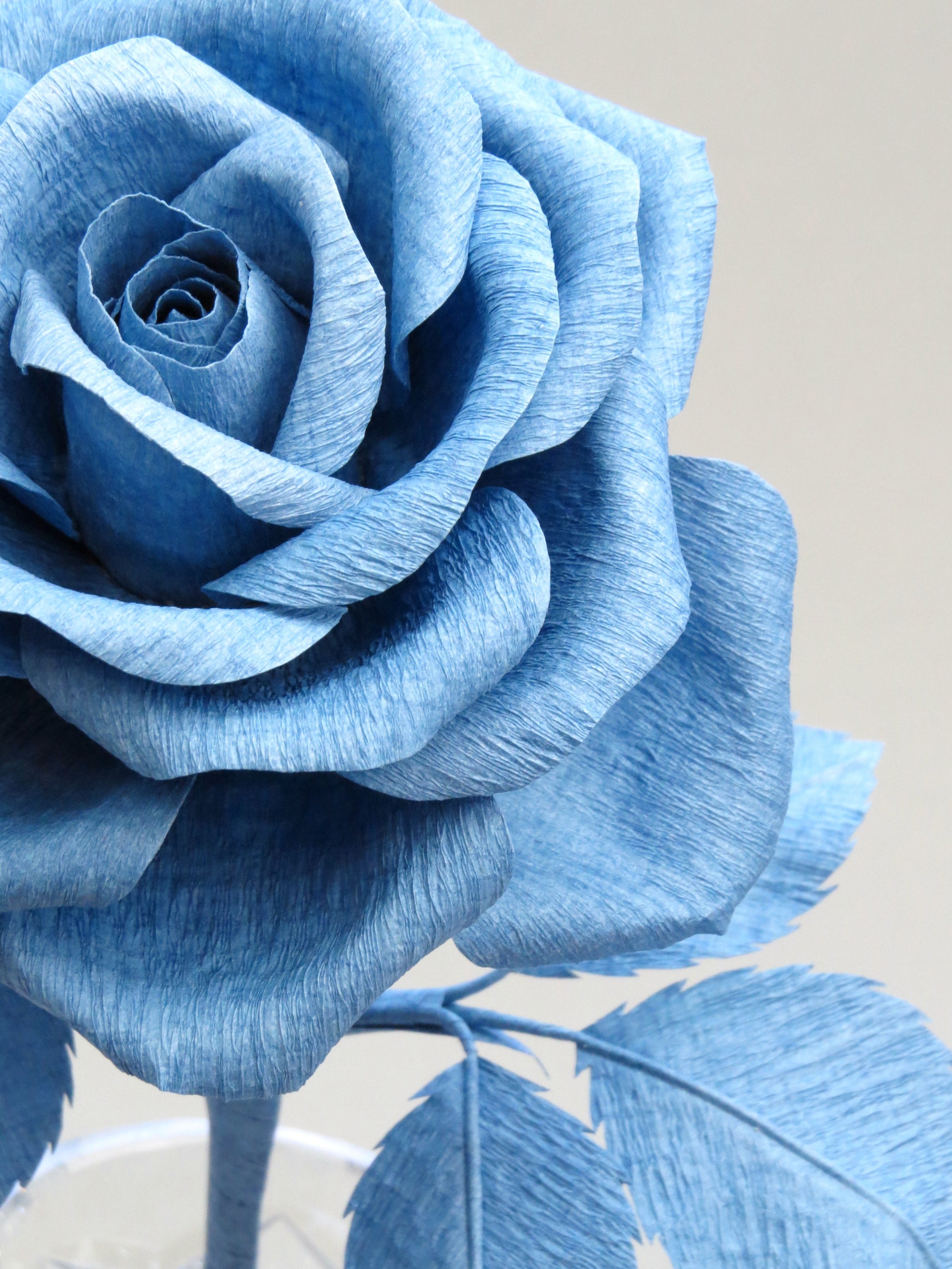 Close up detail of the texture on the center petals of a china blue crepe paper rose