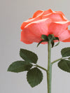 The underneath of the coral pink crepe paper rose showing the olive green calyx with the olive green stem and the back of the olive green crepe paper leaves