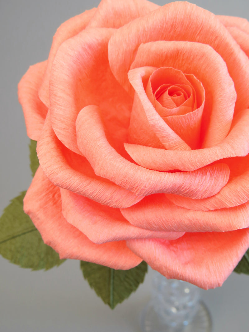Close up detail of the texture on the petals of a coral pink crepe paper rose