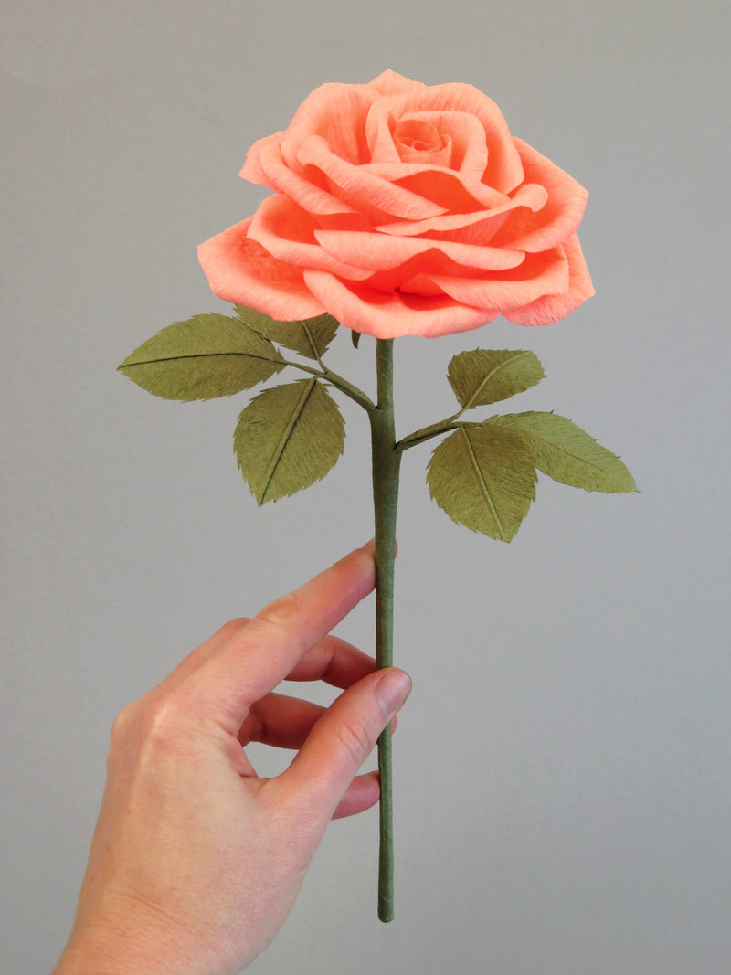 Pale white hand delicately holding the stem of a coral pink paper rose with six olive green leaves