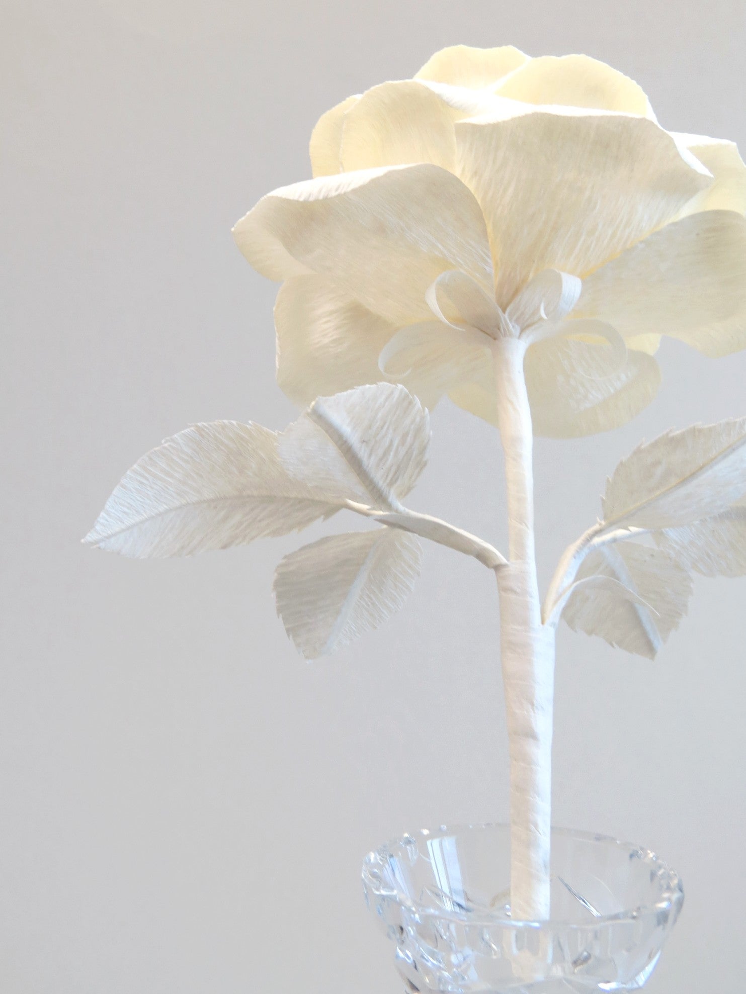 The underneath of the ivory crepe paper rose showing the ivory calyx with the ivory stem and the back of the ivory crepe paper leaves