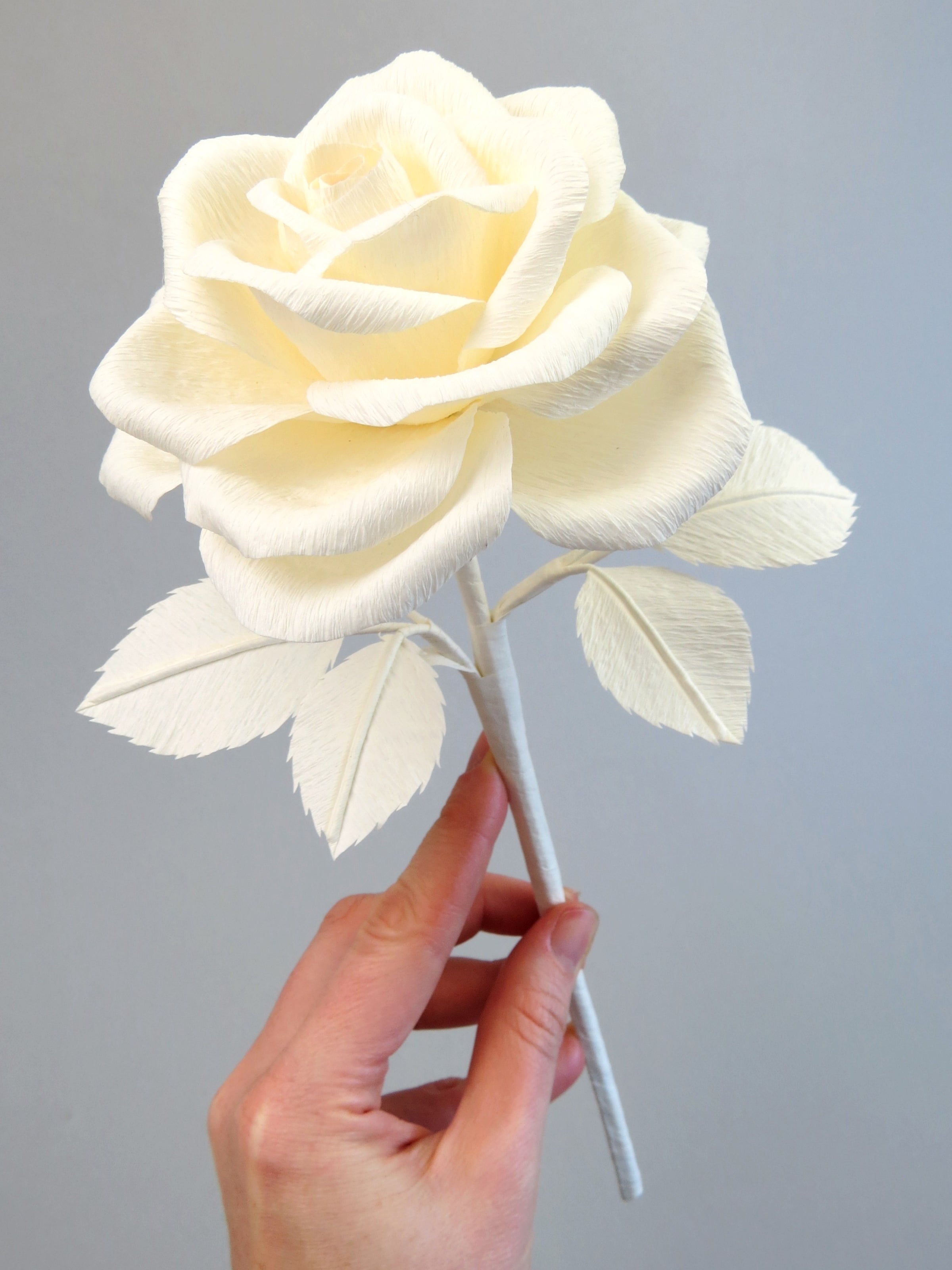 Pale white hand delicately holding the stem of an ivory paper rose with six ivory leaves