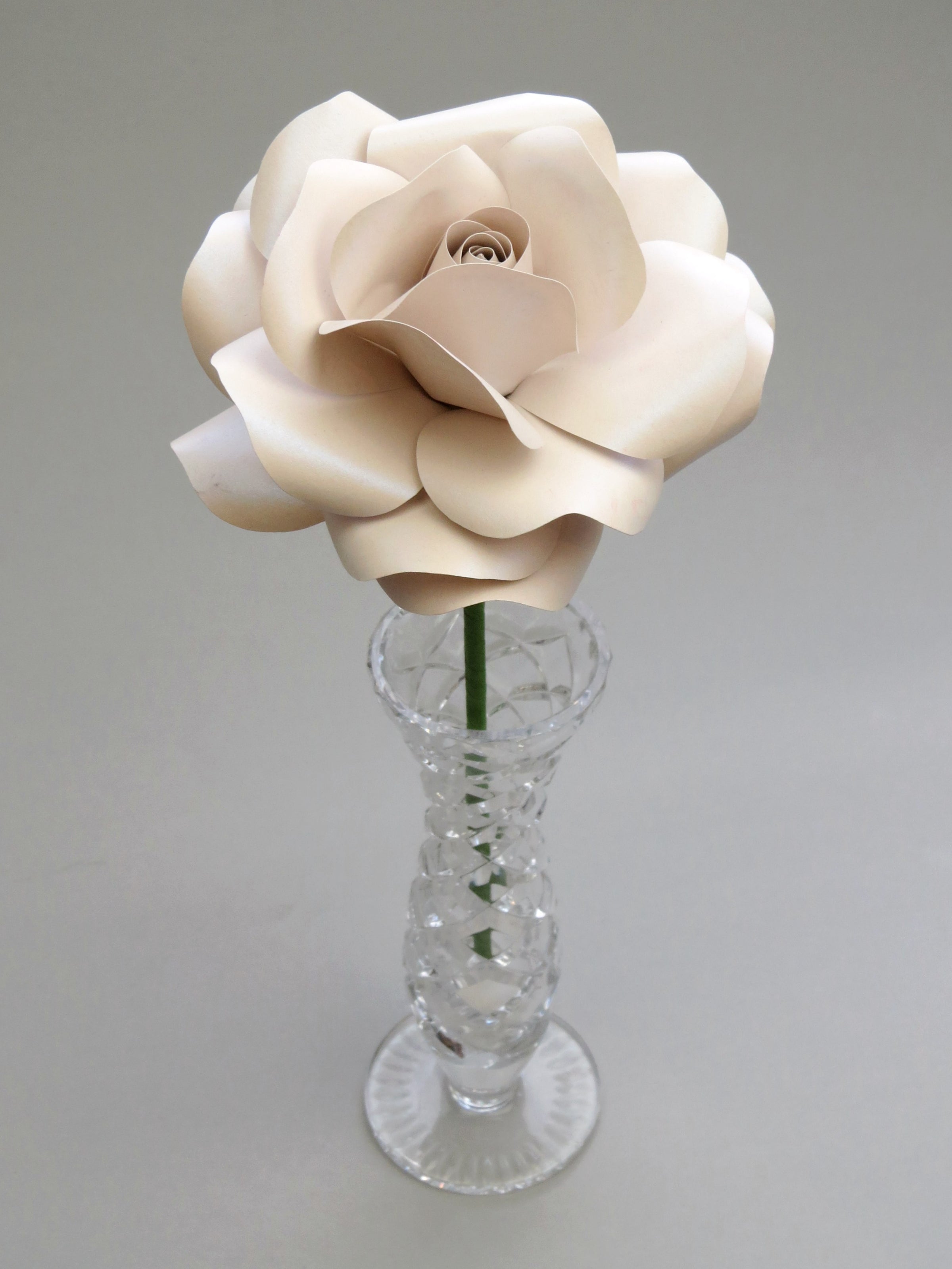 Leafless pearl paper rose standing in a slender glass vase