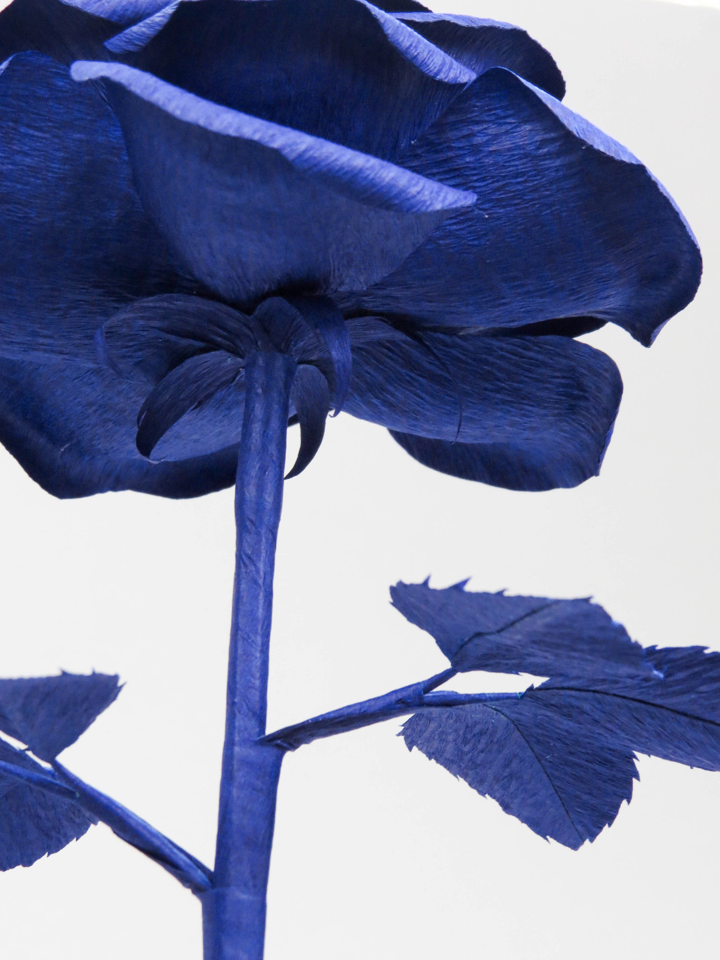 The underneath of the sapphire blue crepe paper rose showing the sapphire blue calyx with the sapphire blue stem and the back of the sapphire blue crepe paper leaves