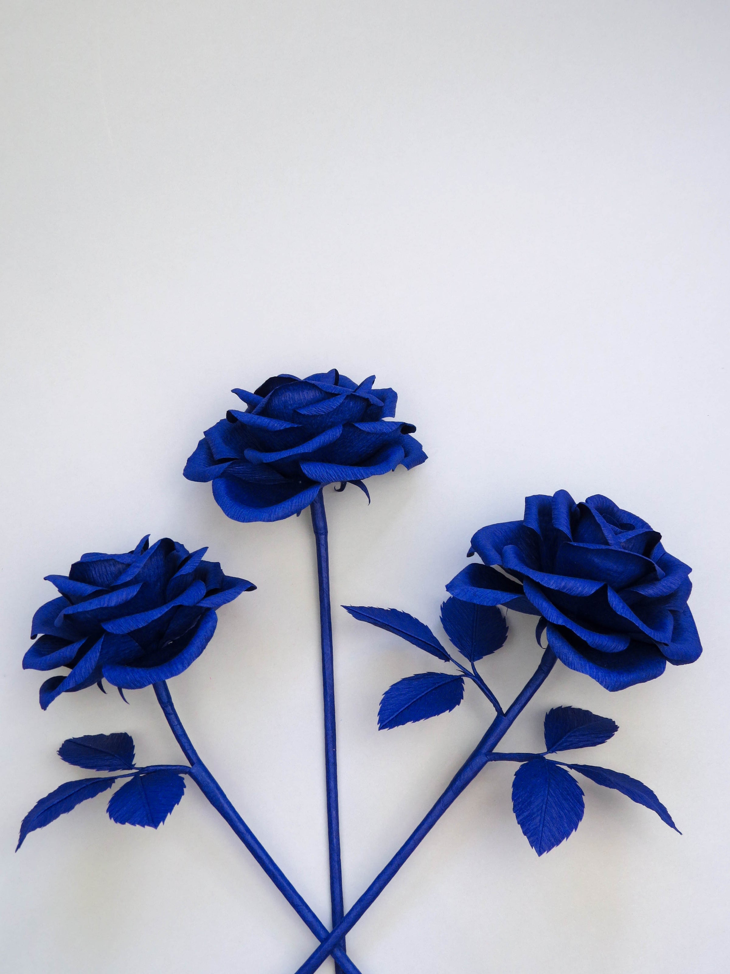 Three sapphire blue crepe paper roses randomly lying next to each other on a light grey background. The left rose is has three sapphire blue leaves, the middle rose has no leaves and the right rose has six sapphire blue leaves
