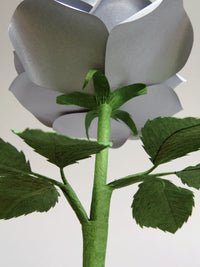 The underneath of the metallic steel paper rose showing the ivy green crepe paper calyx with the ivy stem and the back of the ivy green crepe paper leaves