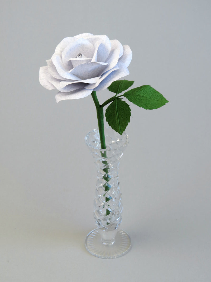 White lace printed paper rose with three ivy green leaves standing in a narrow glass vase against a light grey backdrop