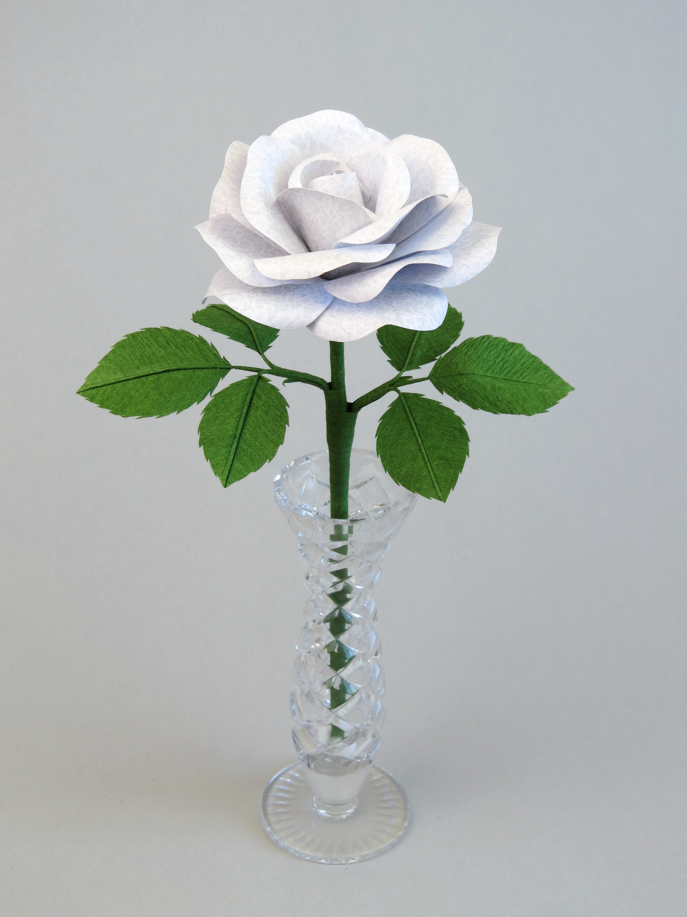 White lace printed paper rose with six ivy green leaves standing in a narrow glass vase set against a light grey background