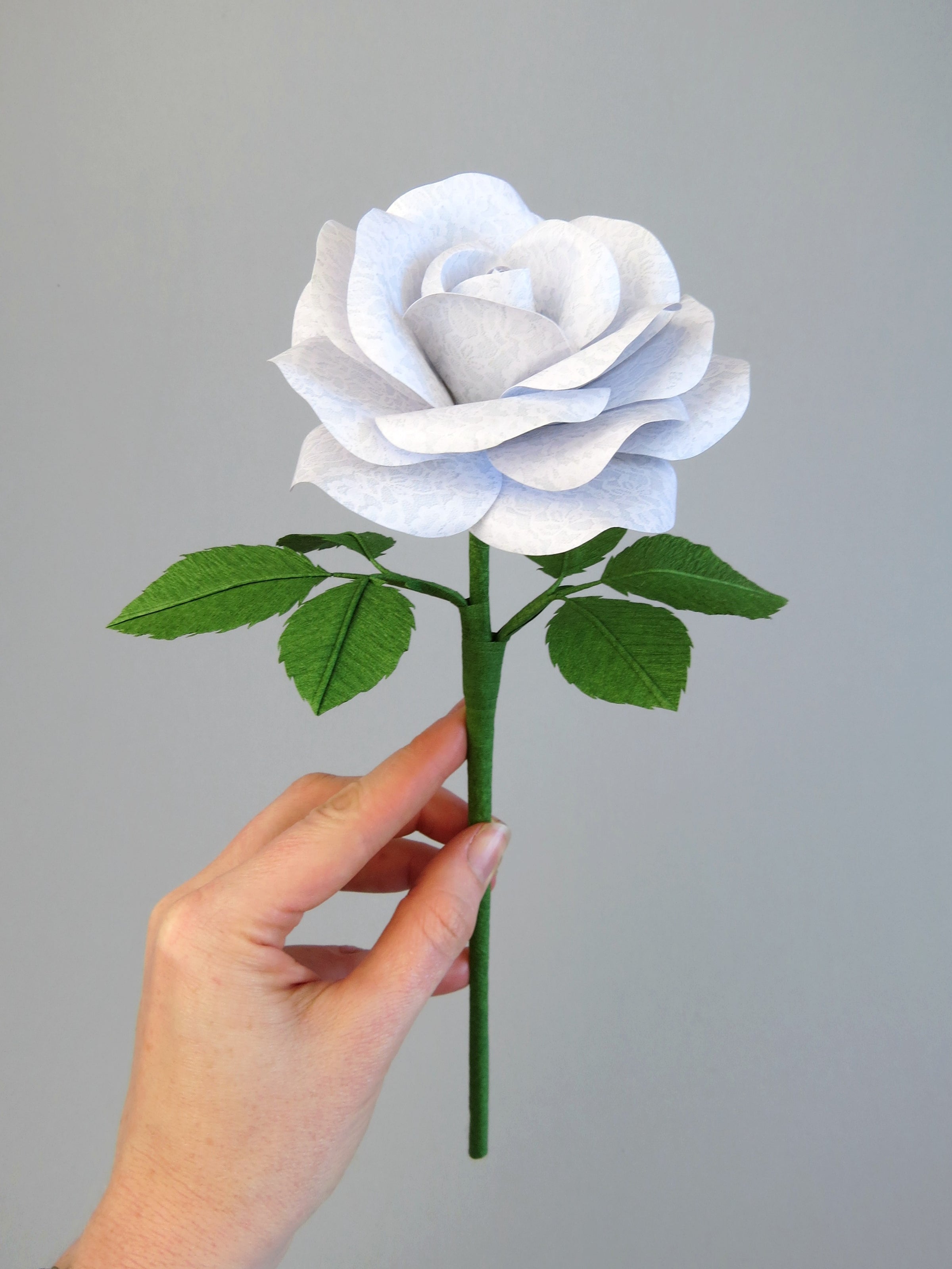 Pale white hand delicately holding the stem of a white lace printed paper rose with six ivy green leaves