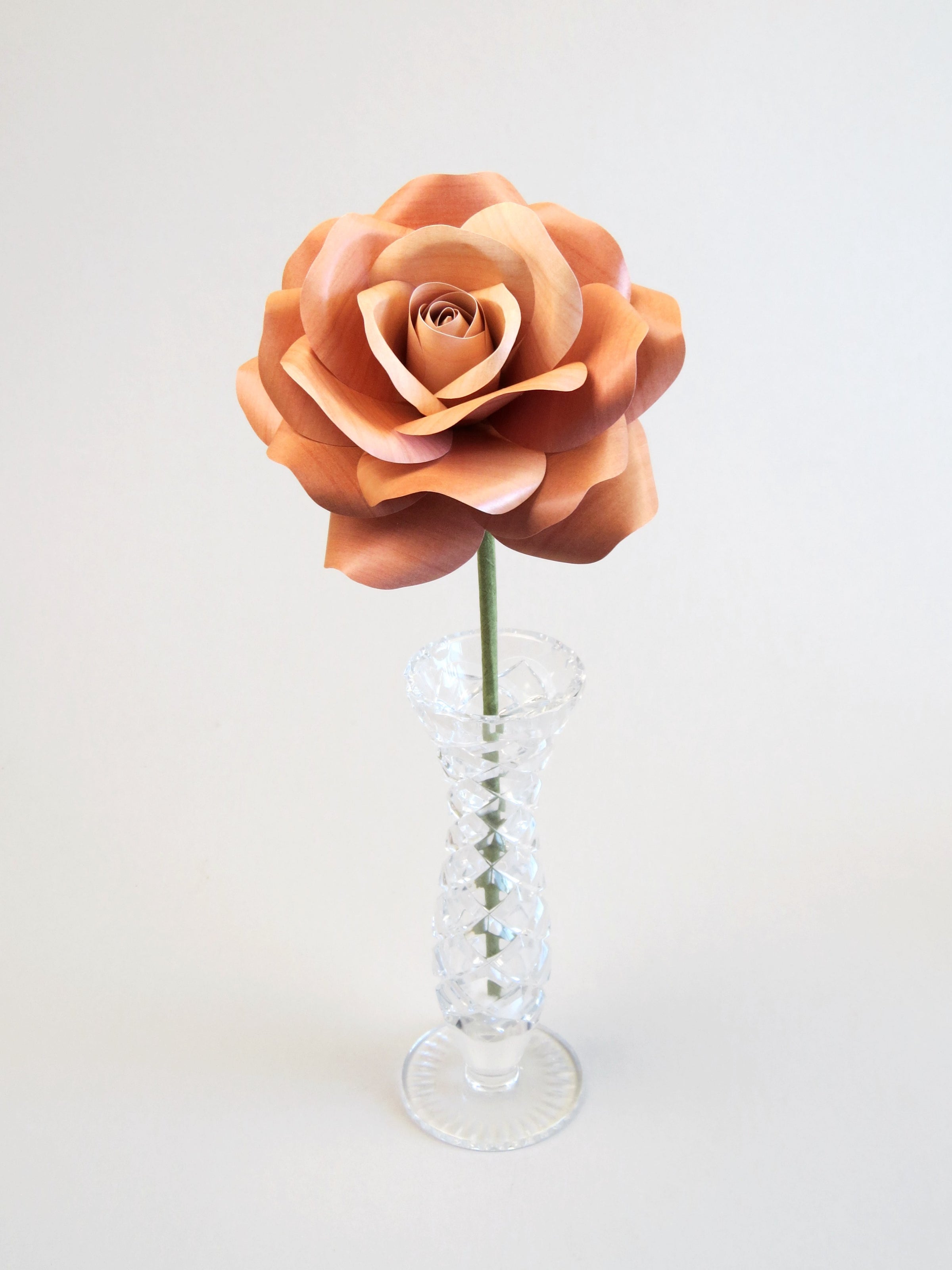 Leafless light brown willow printed iron paper rose standing in a slender glass vase