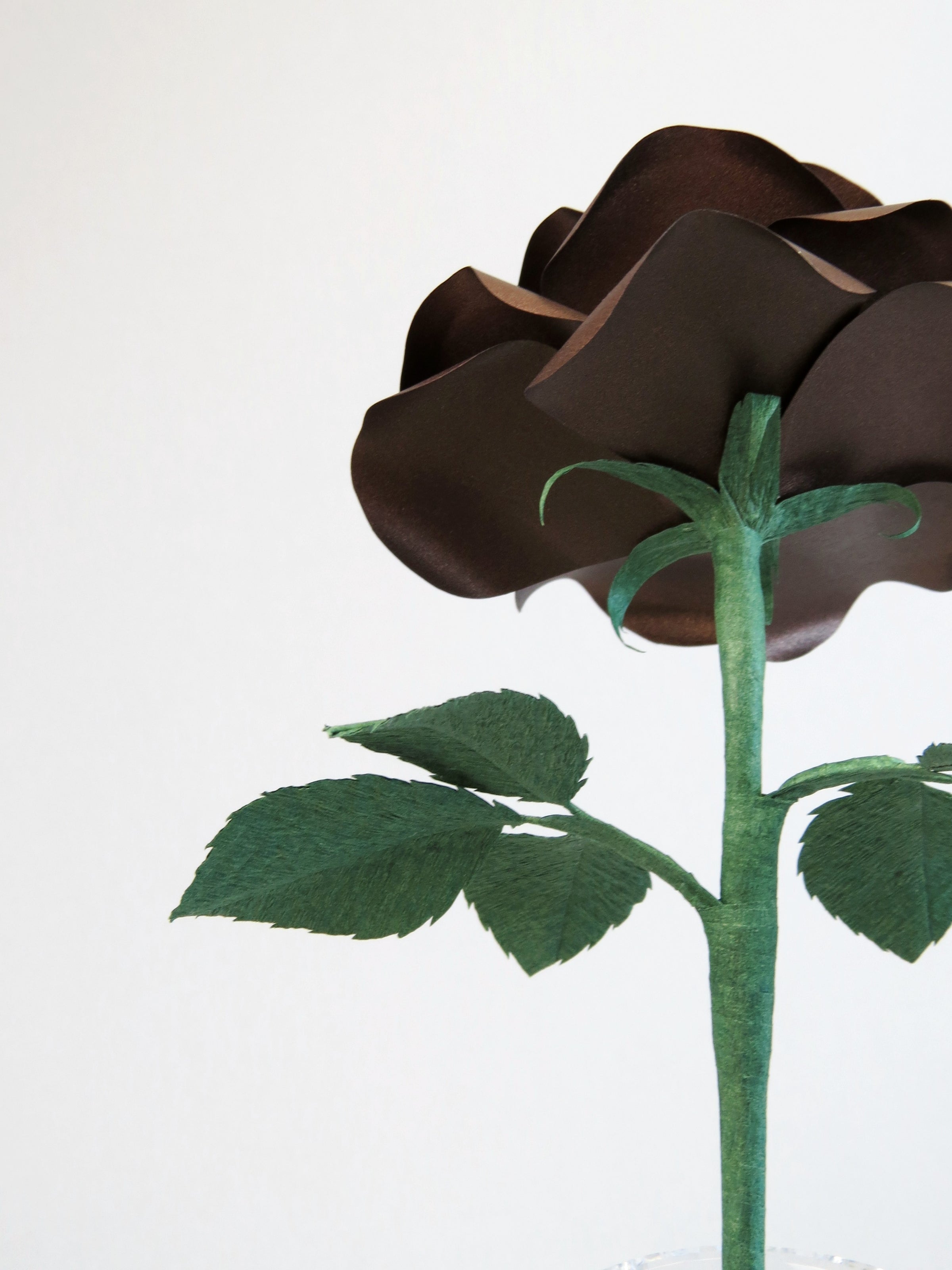 Detailed view of the back of a bronze paper rose with a green curled calyx underneath the metallic petals, and the forest green stem and leaves just in view