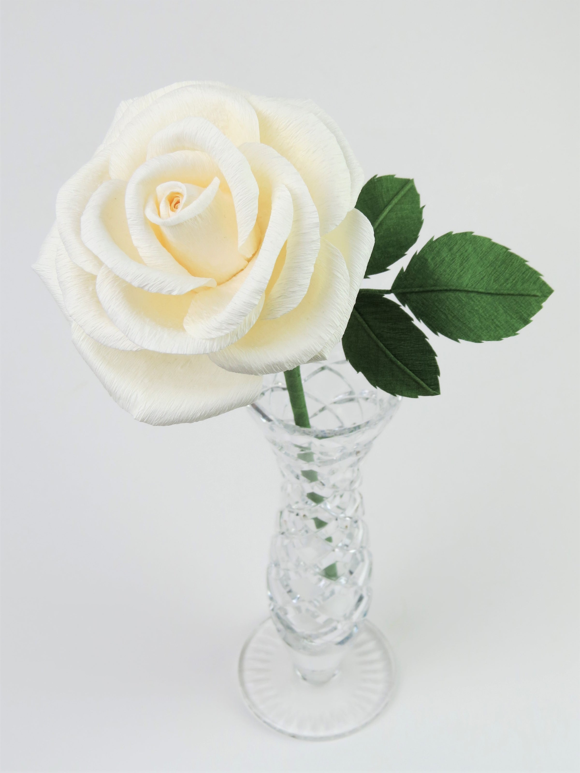 White paper rose with three leaves standing in a narrow glass vase against a light grey backdrop