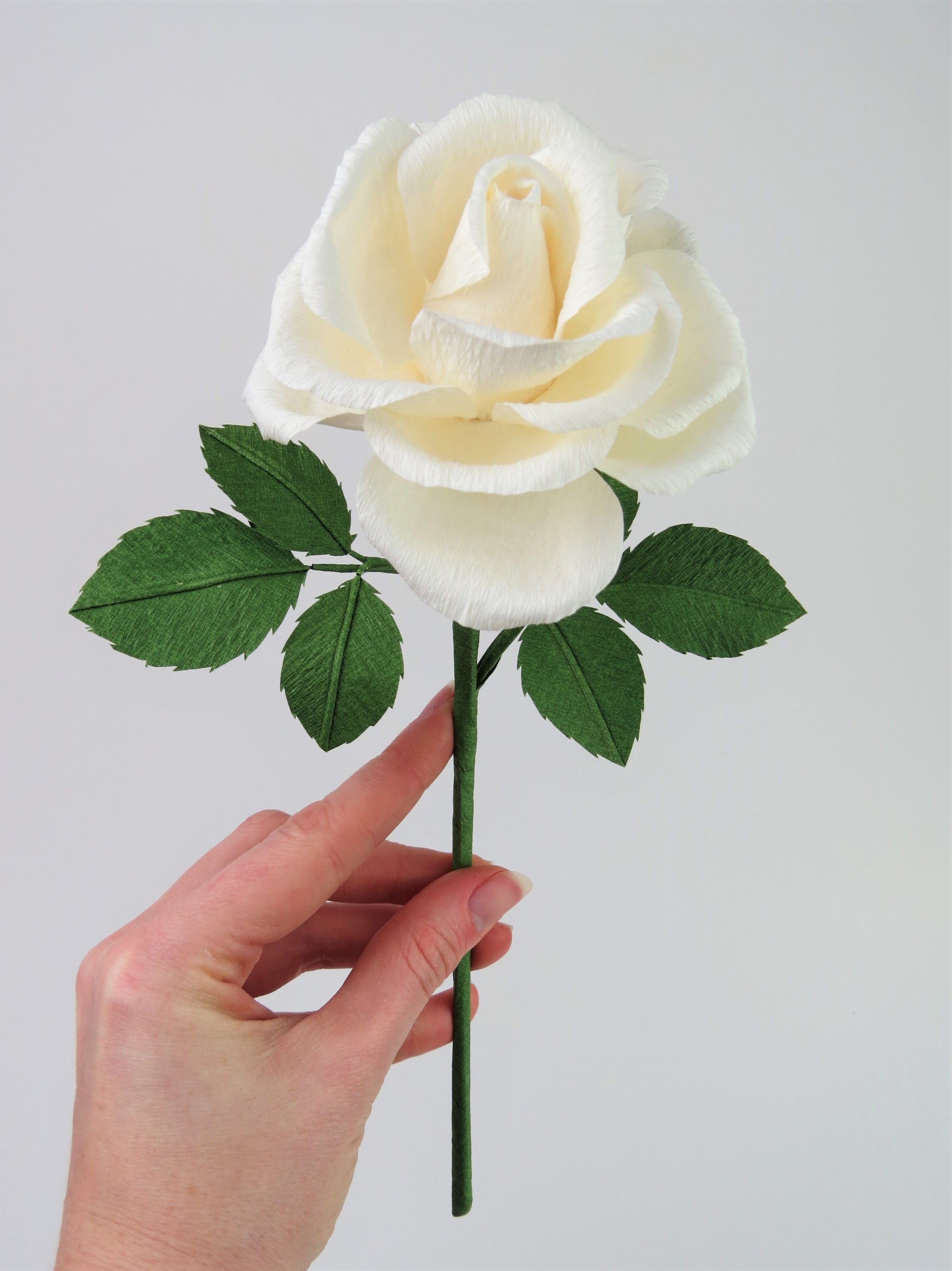 Pale white hand delicately holding the stem of a white paper rose with six leaves