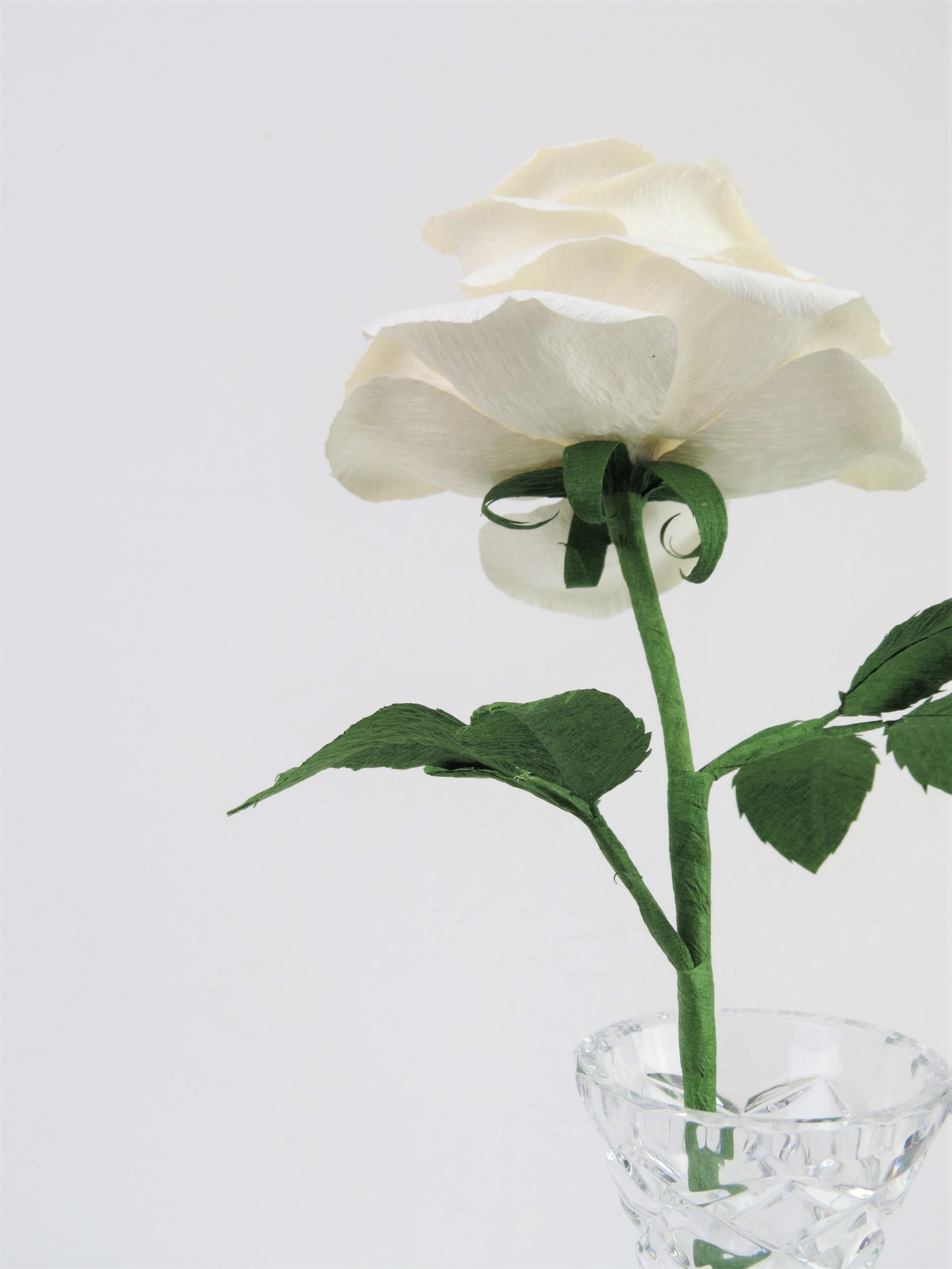Detailed view of the back of a white rose with a green curled calyx underneath the white petals, and the green stem, leaves and the tip of the glass vase just in view
