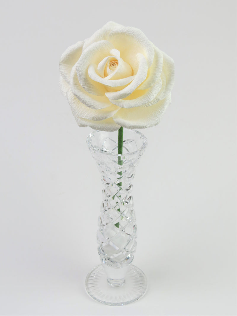 Leafless white paper rose standing in a slender glass vase