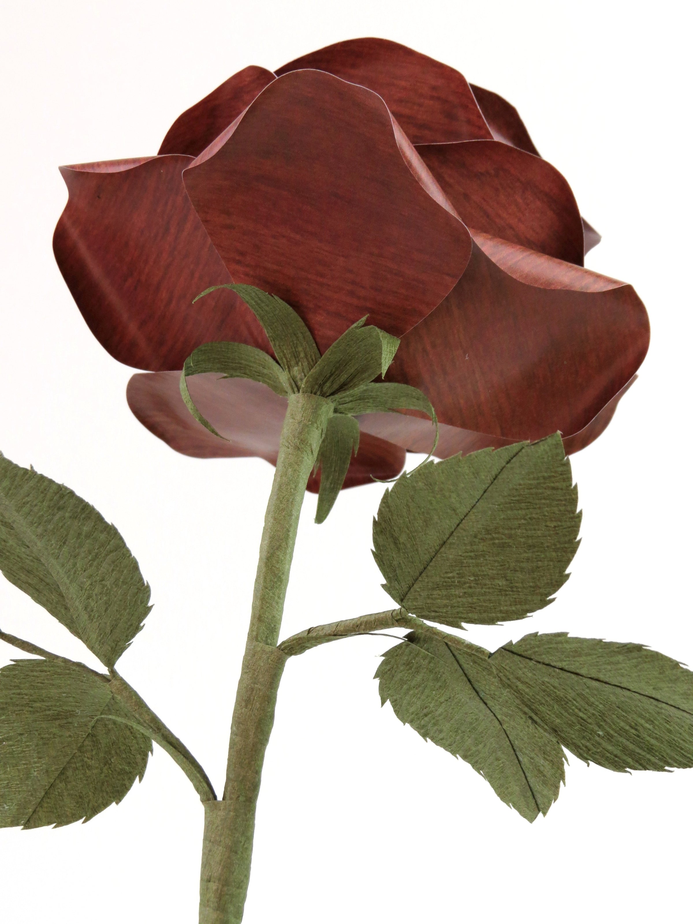 Detailed view of the back of a dark wood  grain paper rose with an olive green curled calyx underneath the dark brown petals, and the green stem and leaves just in view