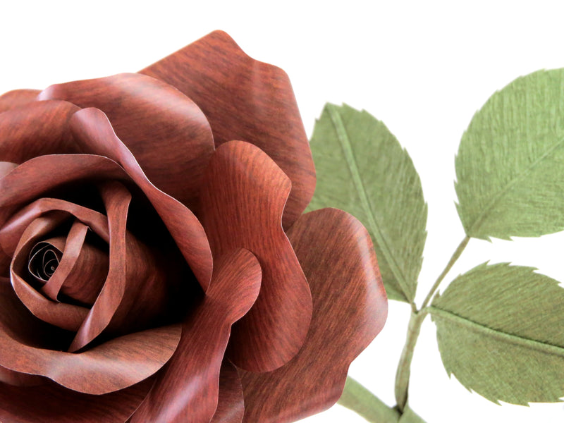 Close up detail of the texture on the petals of a dark wood paper rose