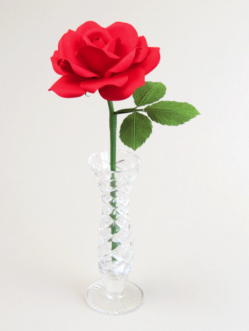 Red cotton paper rose with three leaves standing in a narrow glass vase against a white backdrop