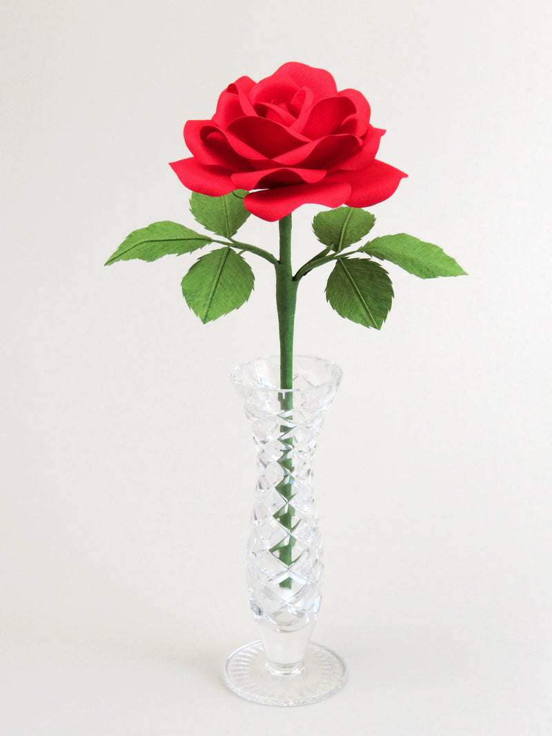 Red cotton paper rose with six green leaves standing in a narrow glass vase set against a white background