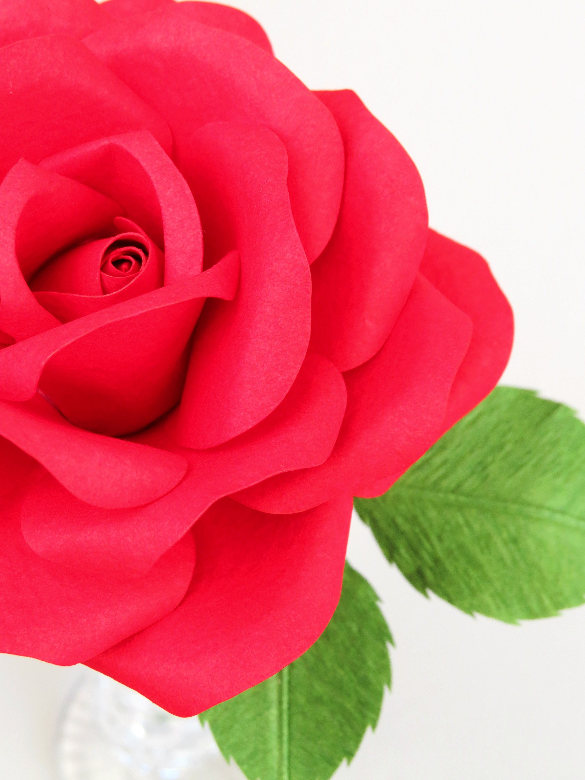 Close up detail of the texture on the petals of a red cotton paper rose