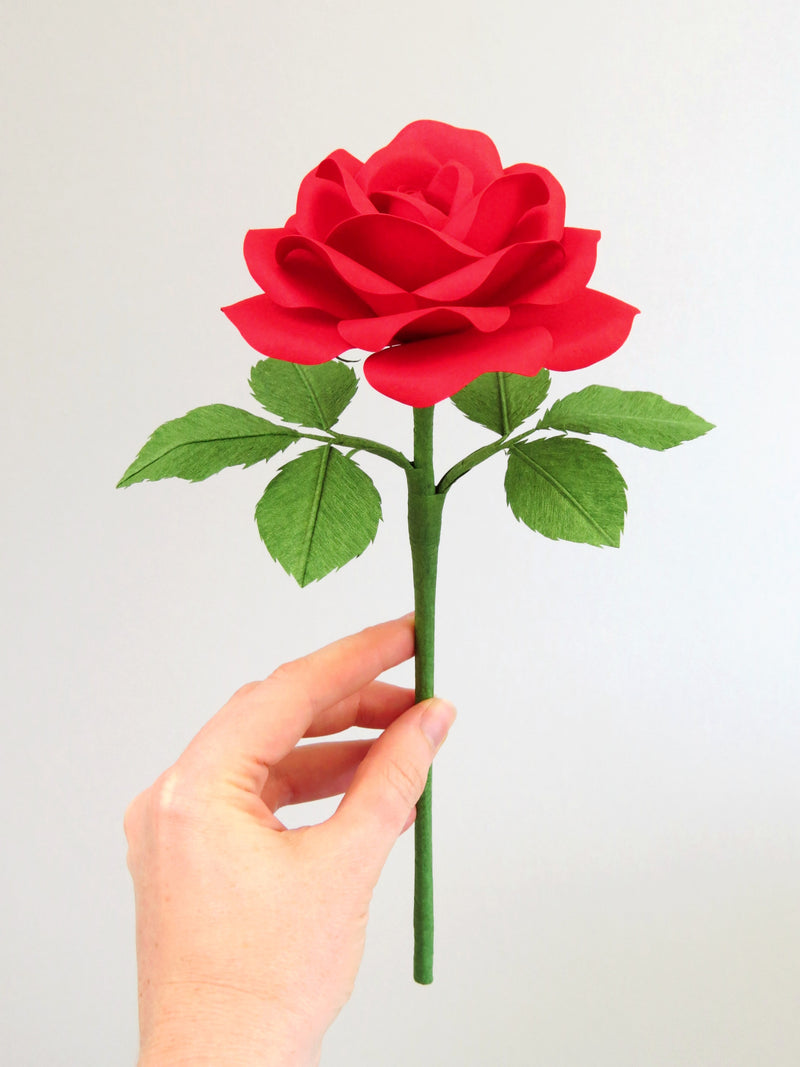 Pale white hand delicately holding the stem of a red cotton paper rose with six green leaves