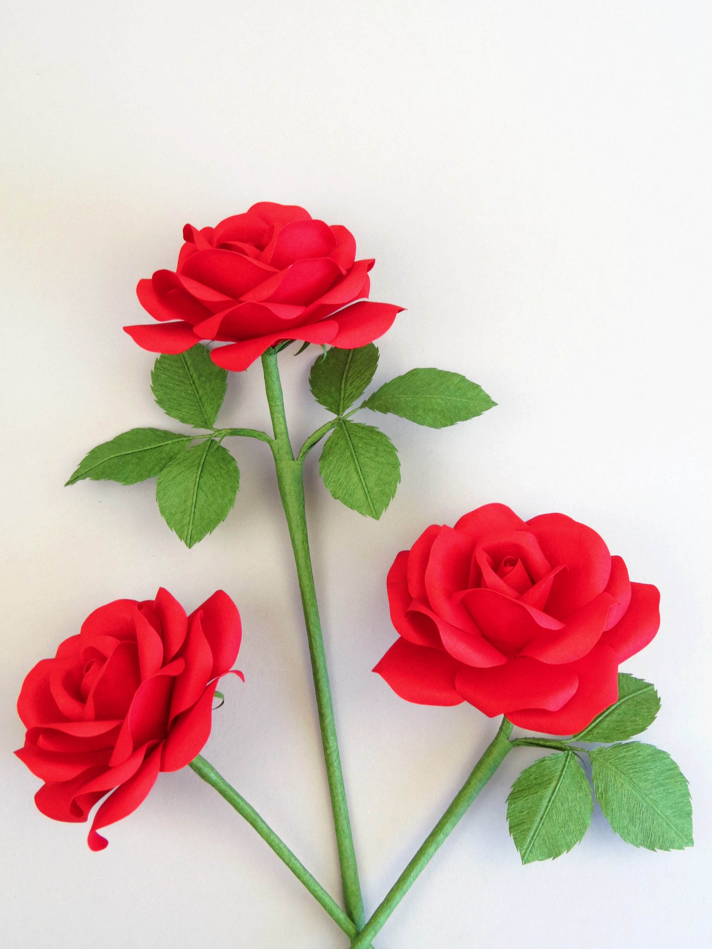 Three red cotton paper roses randomly lying next to each other on a white background. The left rose has no leaves, the middle rose has six green leaves attached and the right rose has three leaves