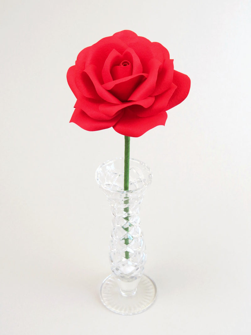 Leafless red cotton paper rose standing in a narrow glass vase against a white backdrop