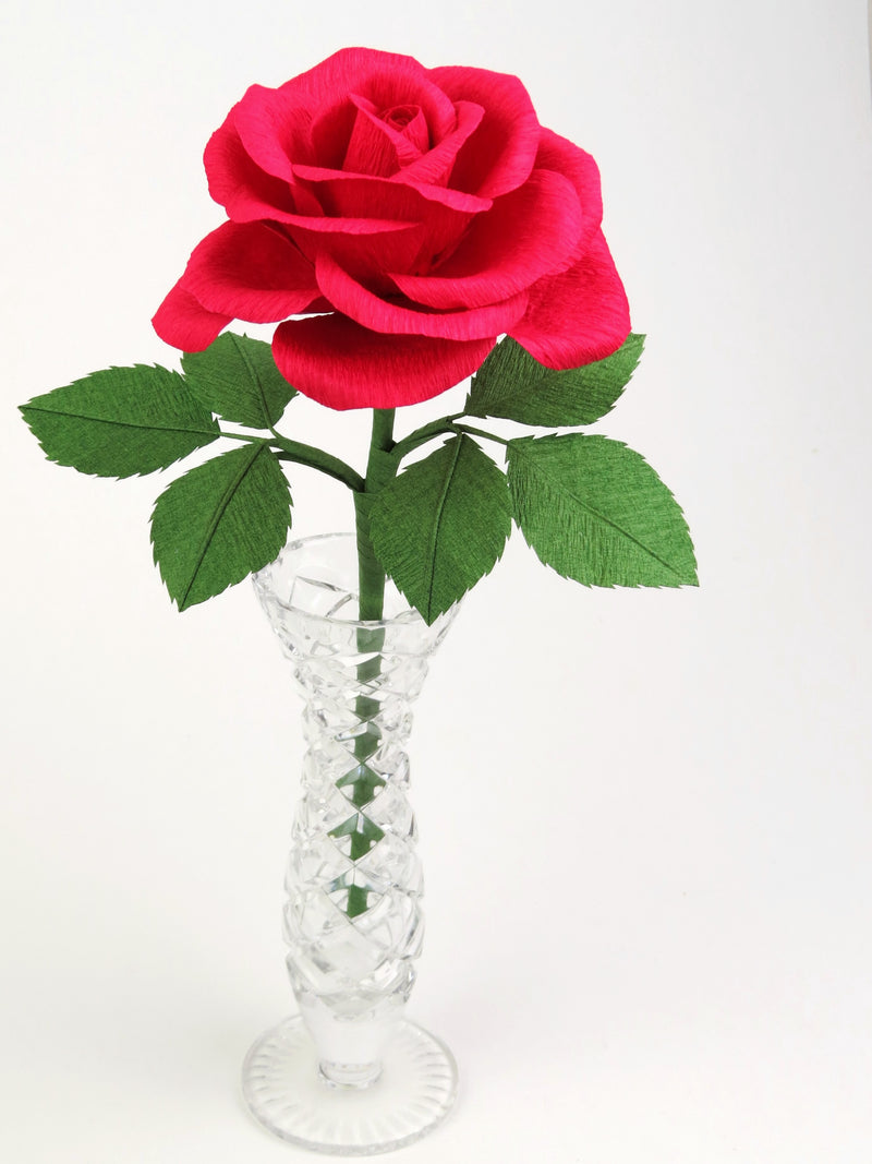 Red paper rose with six green leaves standing in a narrow glass vase set against a white background