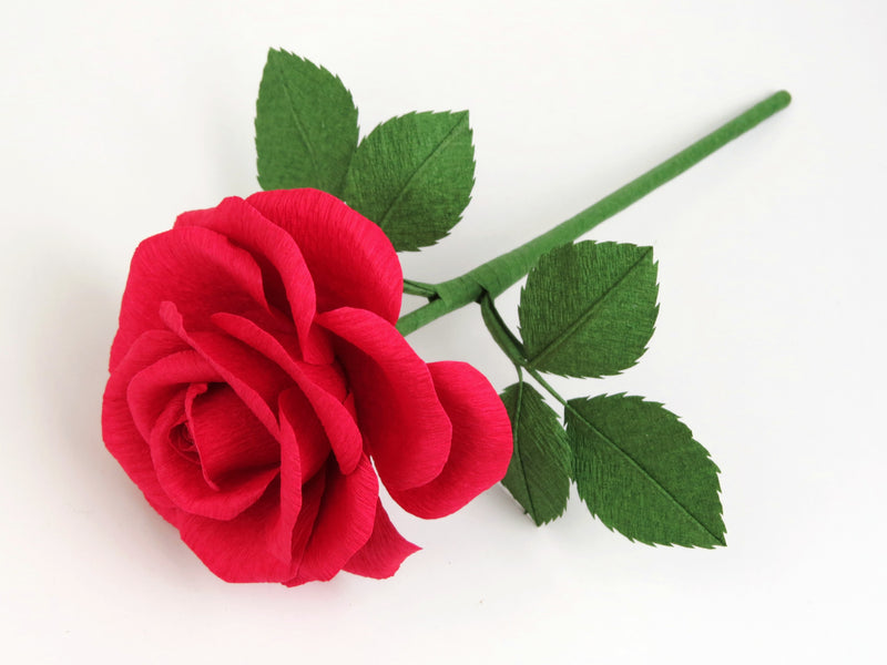 Red rose lying diagonally across a white background with six green leaves