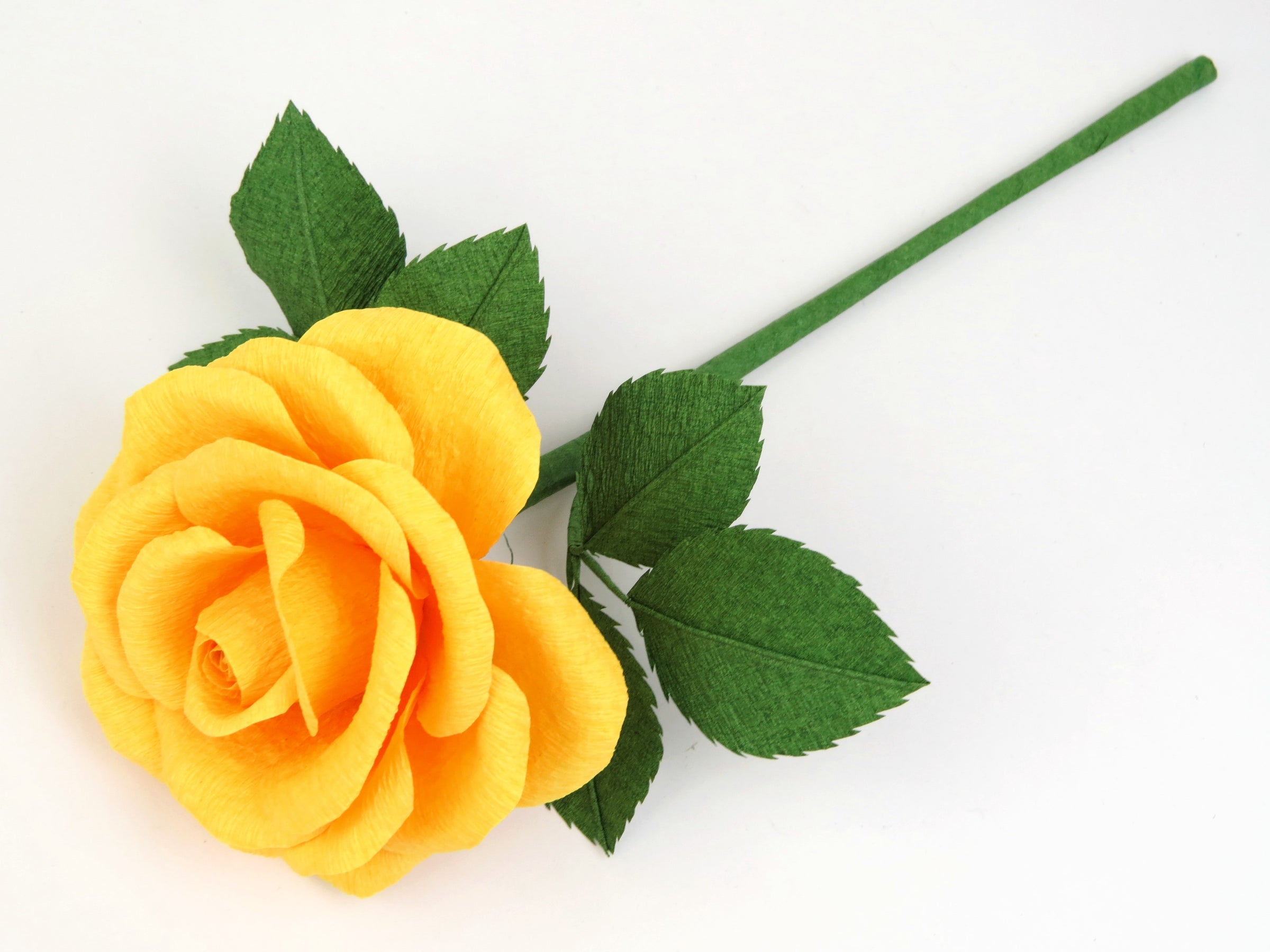 Bright yellow rose lying diagonally across a white background with six green leaves