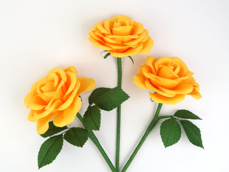 Three yellow paper roses lying next to each other in a curved shape on a white background. The left rose has six green leaves attached, the middle rose has no leaves and the right rose has three leaves.