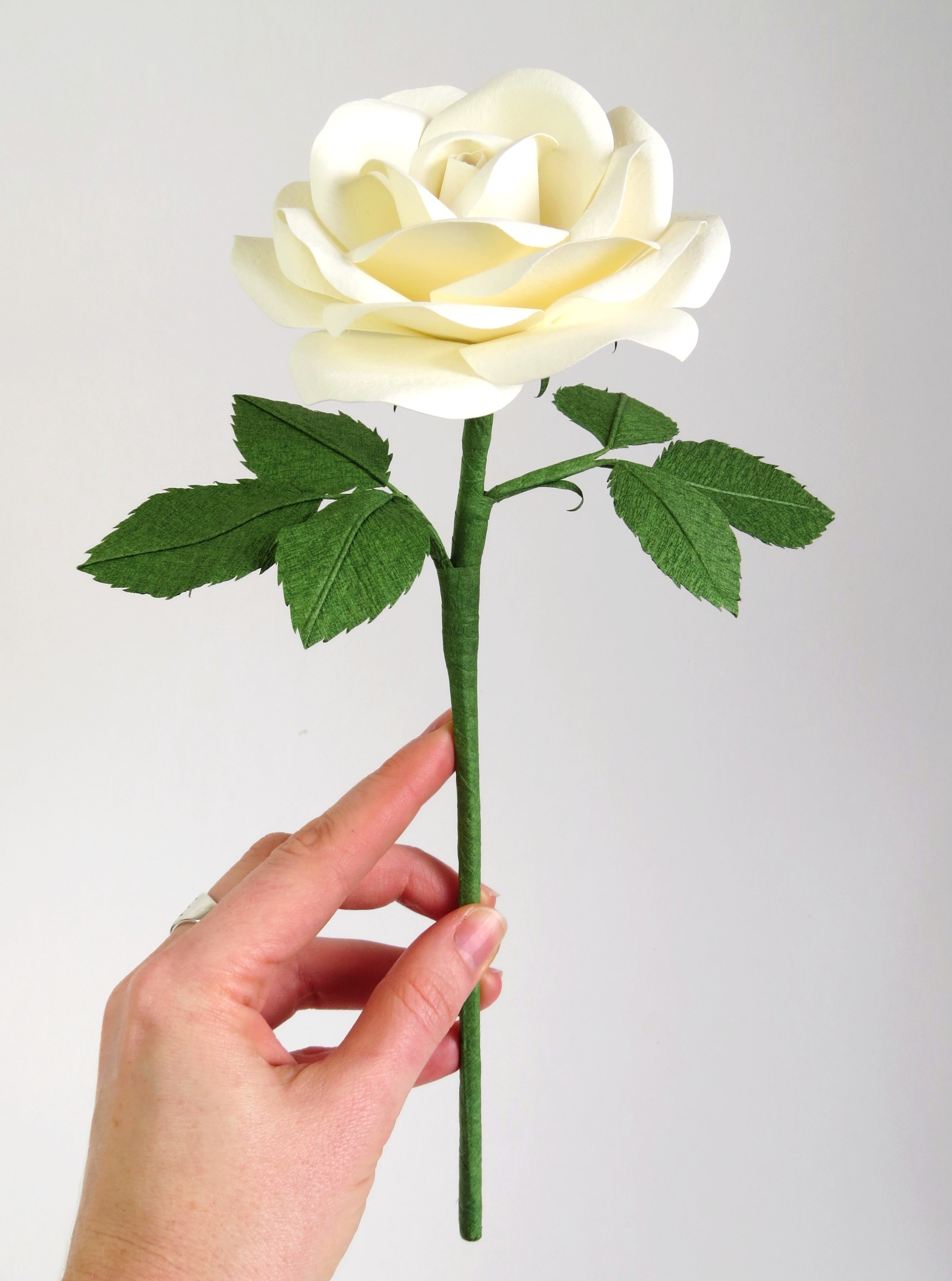 Pale white hand delicately holding the stem of a white cotton paper rose with six green leaves
