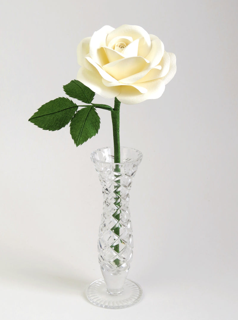 White cotton paper rose with three green leaves standing in a narrow glass vase against a light grey backdrop