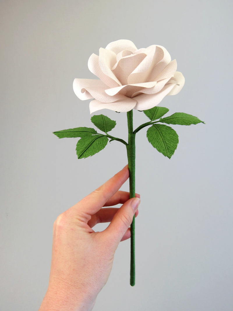 Pale white hand delicately holding the stem of a white linen grain paper rose with six leaves