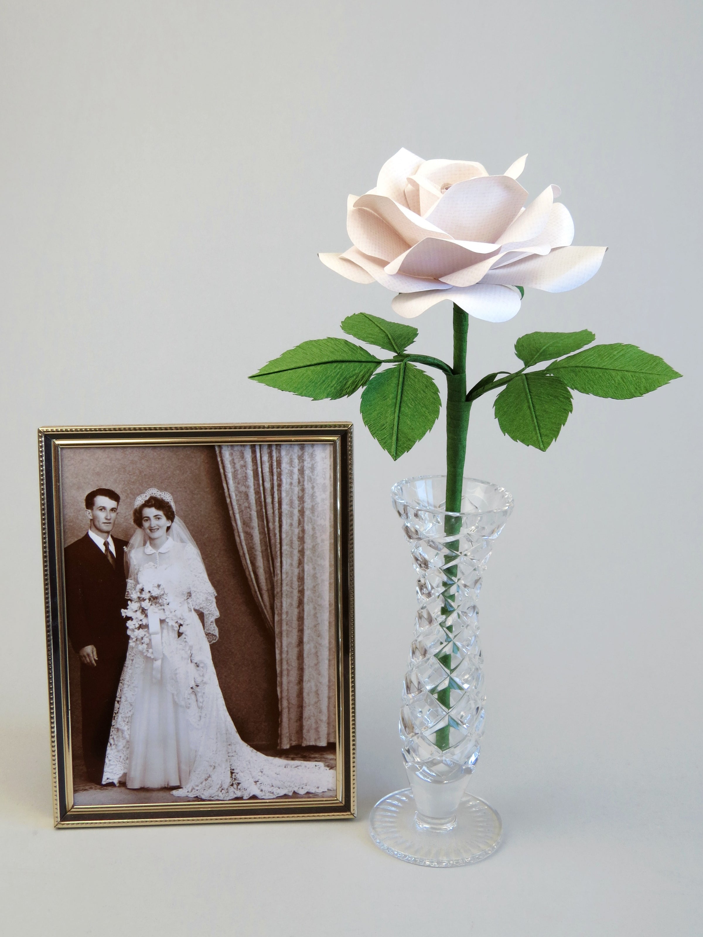 White linen paper rose with six green leaves standing in a slender glass vase with an old framed sepia wedding photo standing beside it