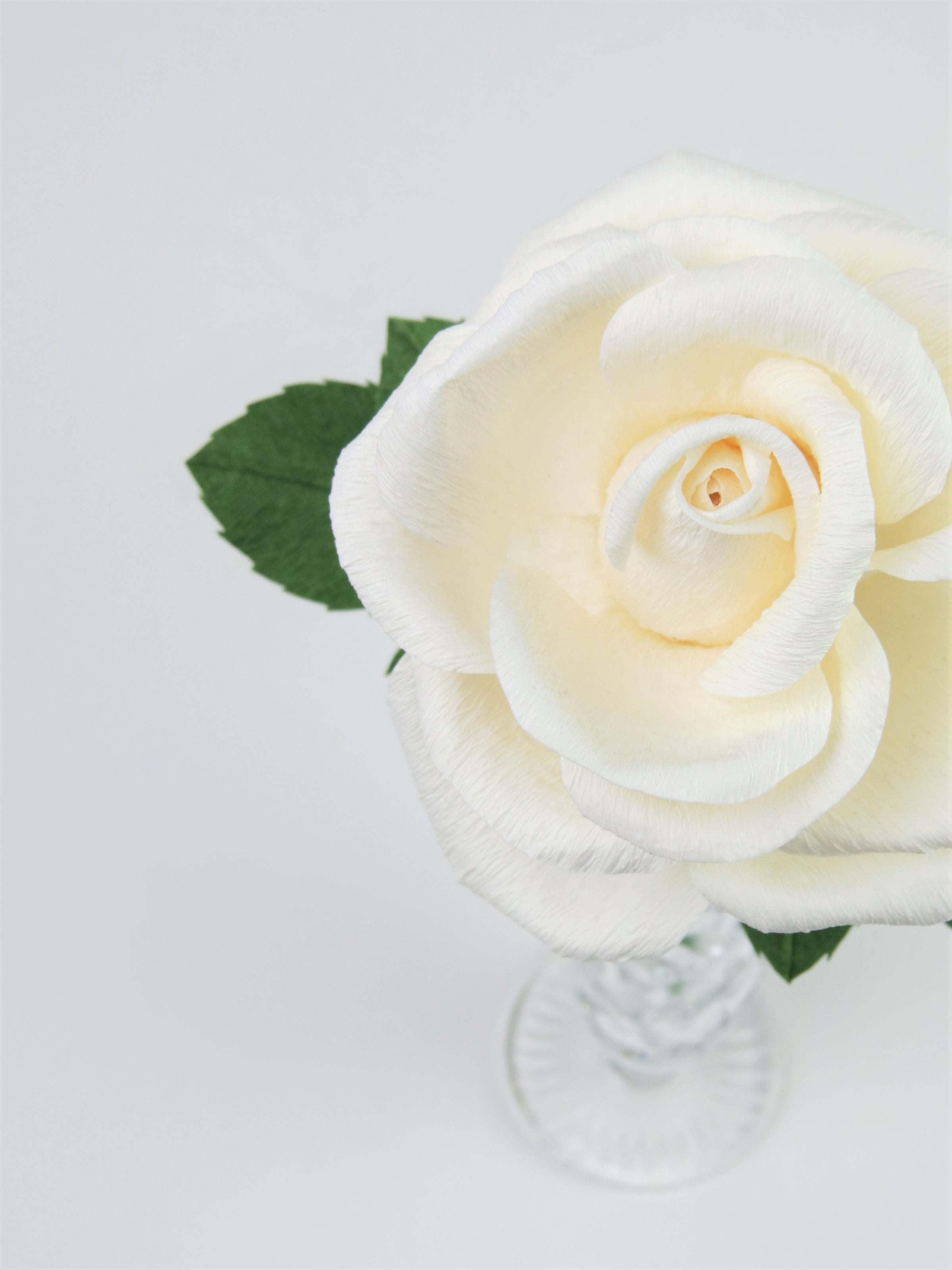 Aerial view of the centre of the white rose standing in a glass vase, with the hint of green leaves