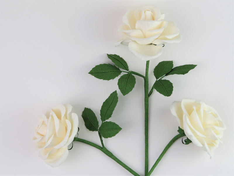 Three cream white paper roses randomly laid out next to each other on a light grey background. The left rose has three green leaves attached, the high middle rose has six leaves and the right rose has no leaves.