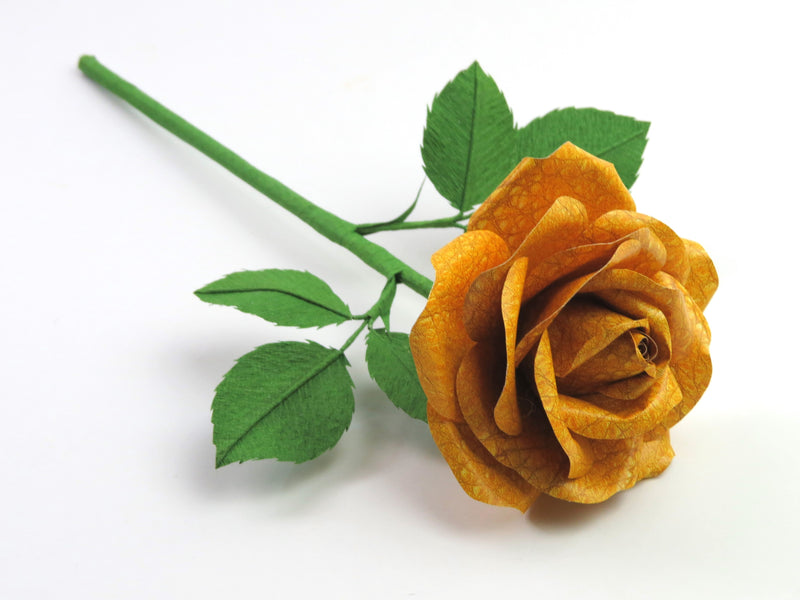 Bright yellow leather grain rose lying diagonally across a white background with six green leaves