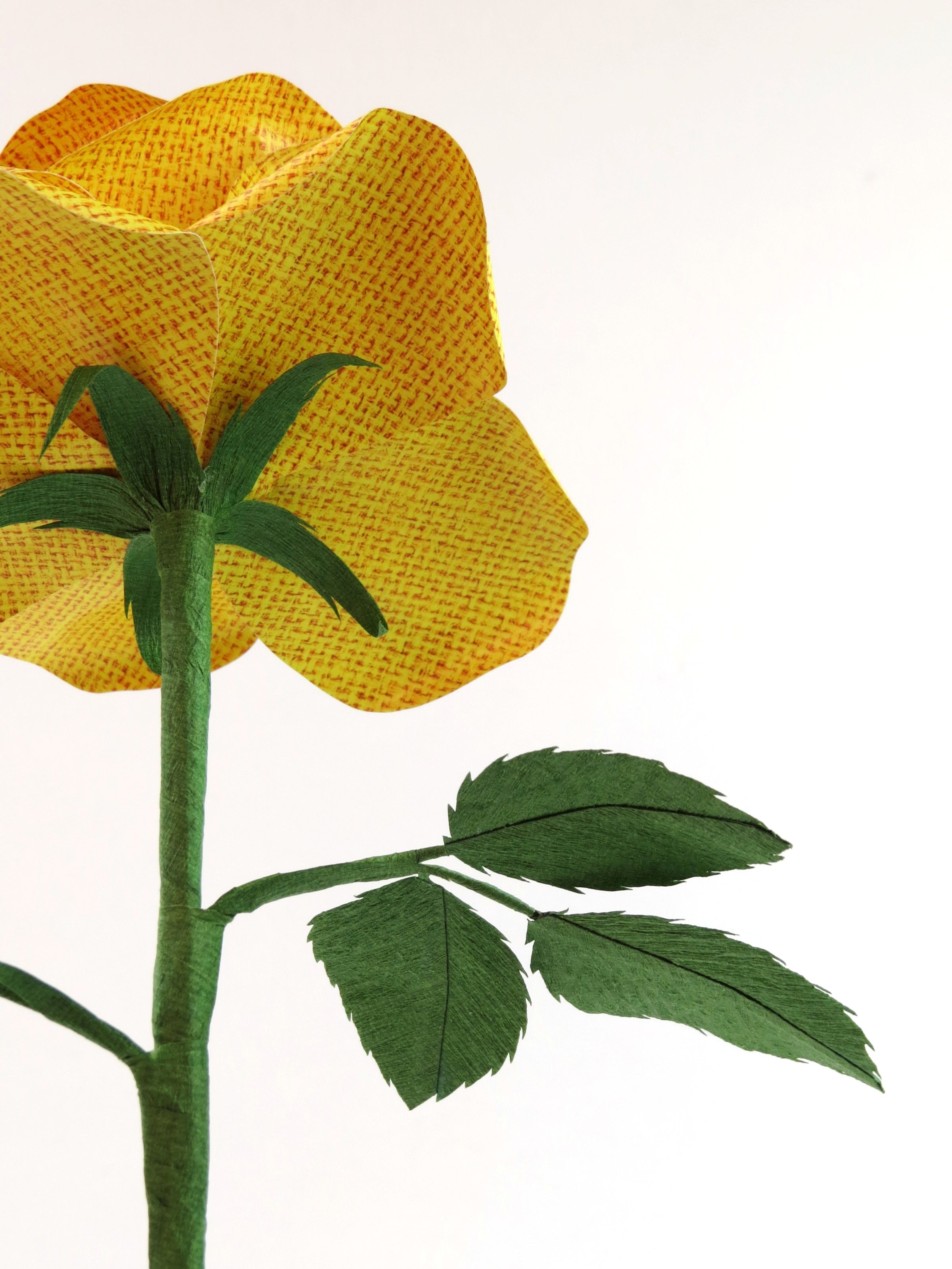 Detailed view of the back of a yellow linen grain paper rose with a green curled calyx underneath the yellow petals, and the green stem and leaves just showing