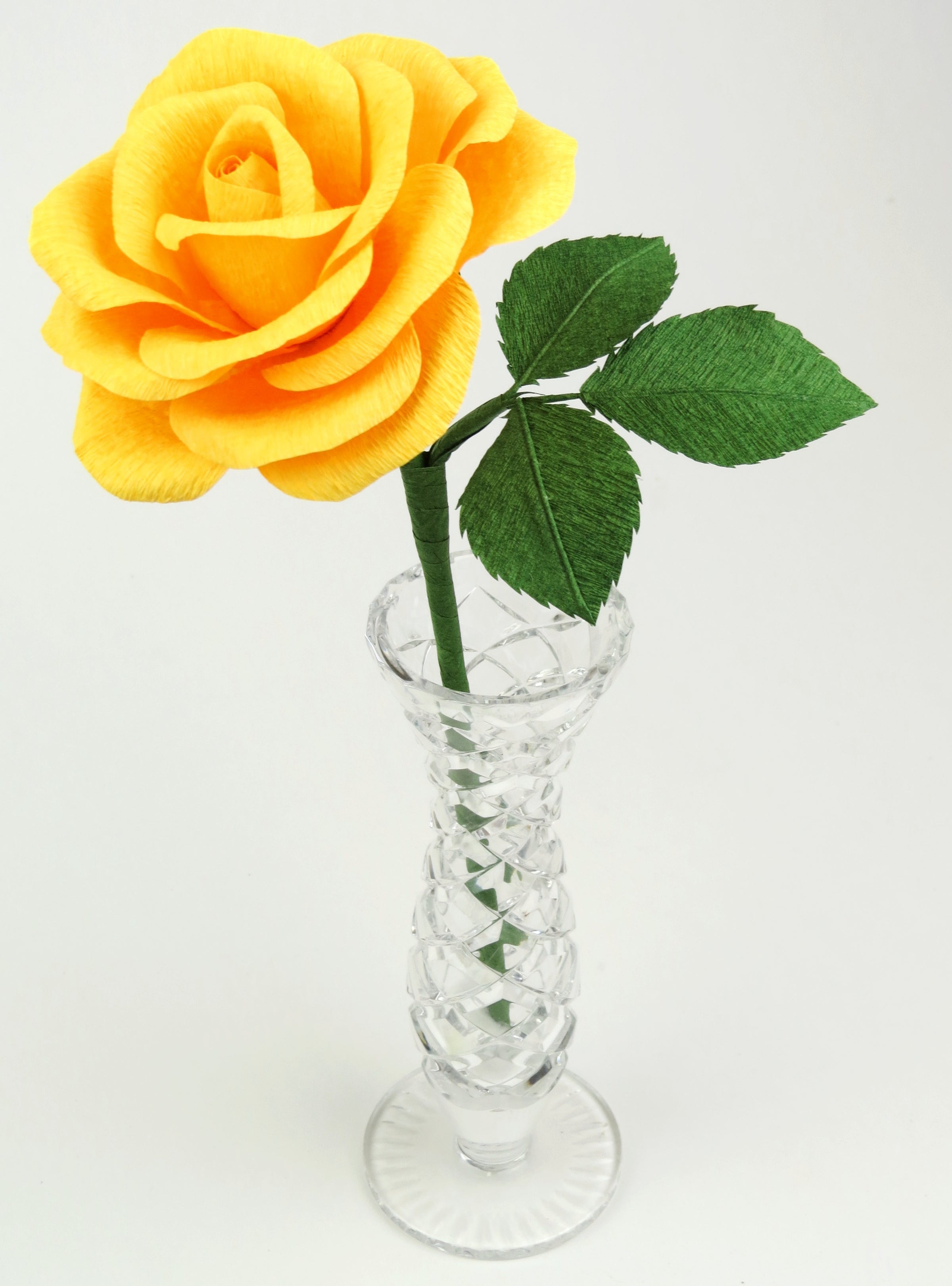 Yellow paper rose with three leaves standing in a narrow glass vase against a white backdrop