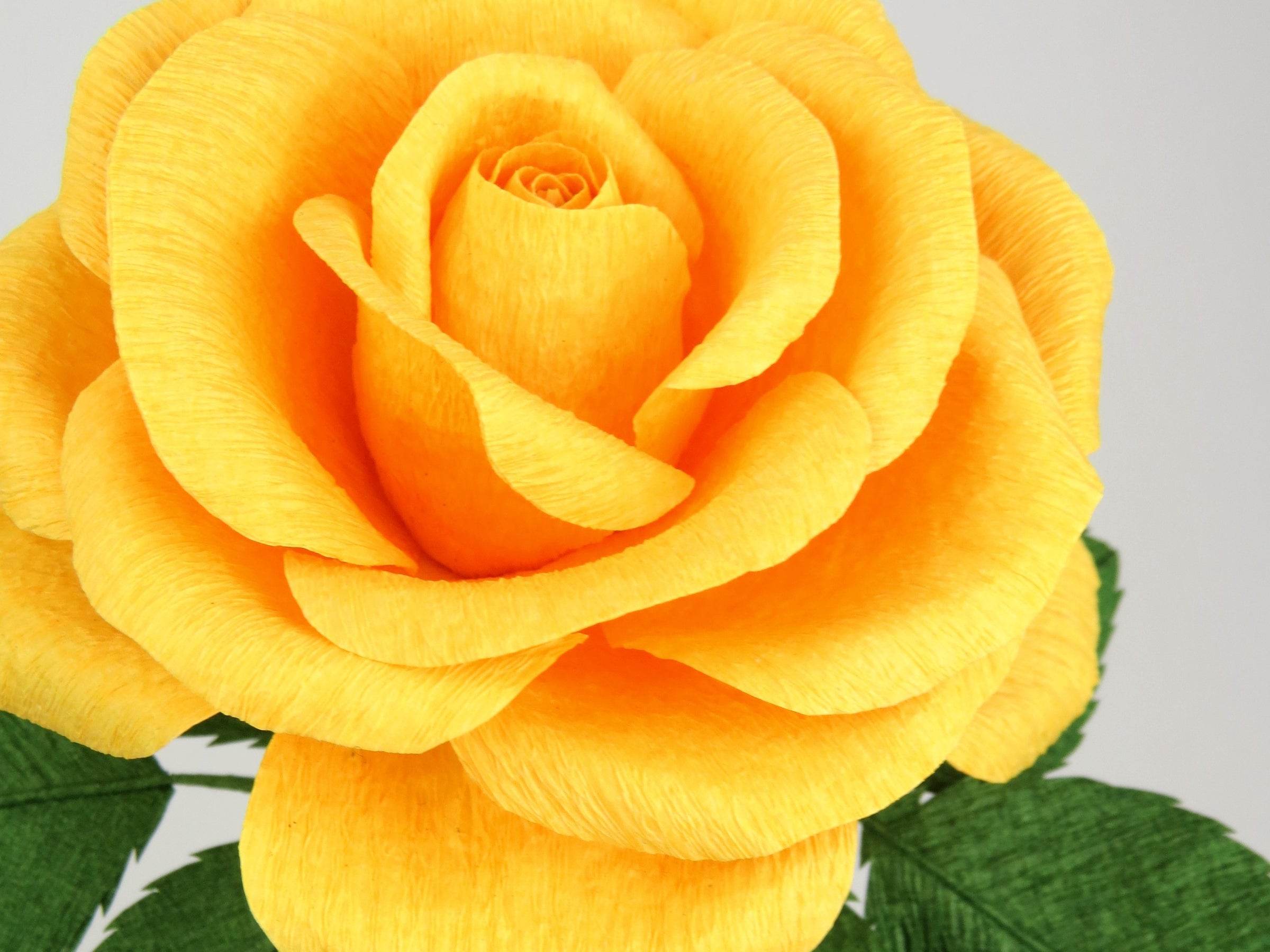 Close up detail of the texture on the petals of a bright yellow paper rose